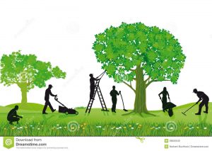 of-workers-landscaping-pruning-mowing-a-lawn-and-planting-a-garden-cdG2TF-clipart